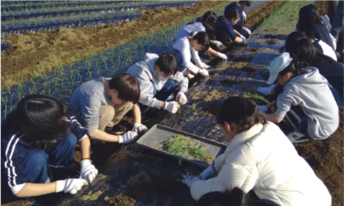 畑で苗を植える農業体験に取り組む生徒たち