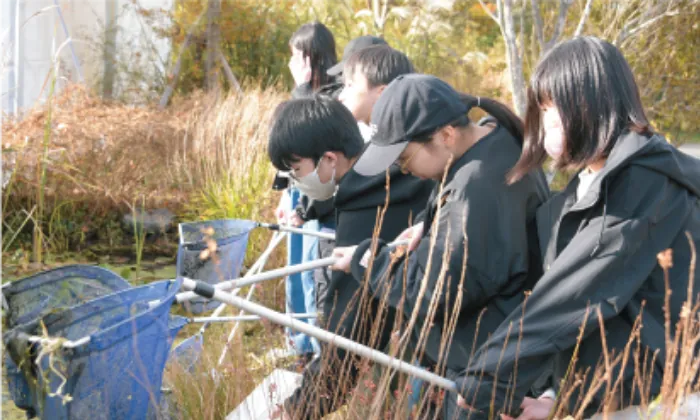 網を使って水辺の生き物を調べる生徒たち