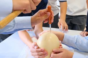 【生徒の活動】ダチョウの卵とクロコダイルを観察・調理・標本に